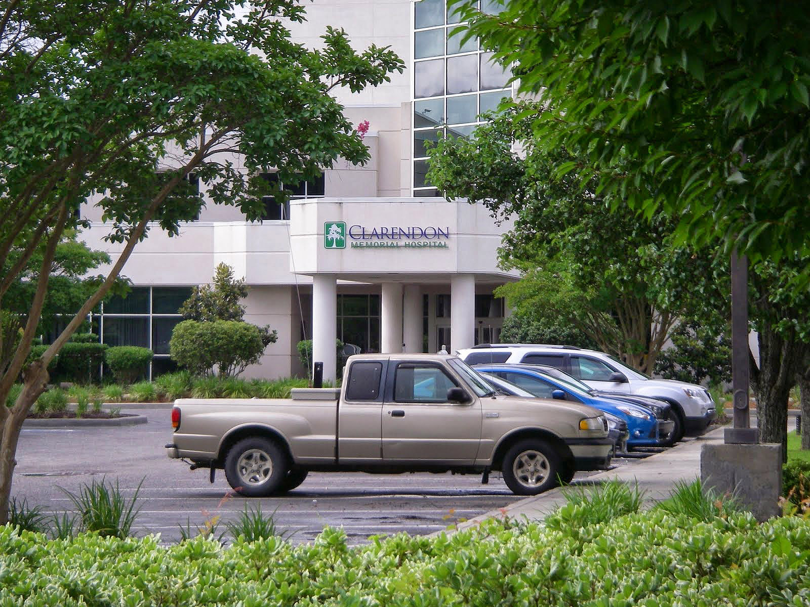 Historic Manning, South Carolina